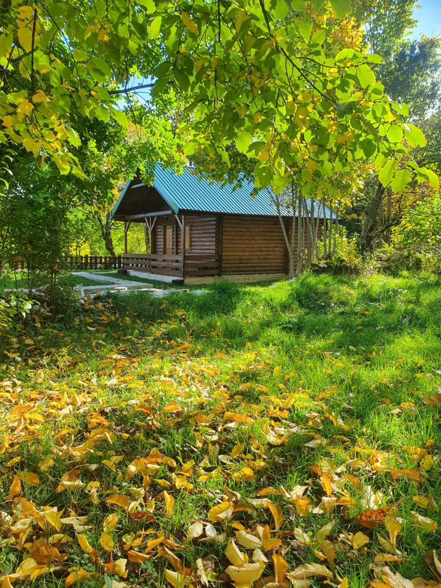 Cabin House Dubovik Cetinje Exterior foto
